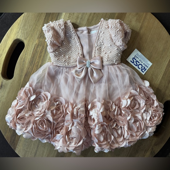 Nannette Other - NWT Mauve Rose Tweed Baby Girl Dress